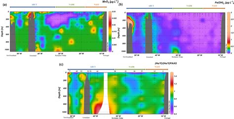 BG - Particulate rare earth element behavior in the North Atlantic (GEOVIDE cruise)