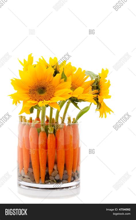 Carrot Flowers Image & Photo (Free Trial) | Bigstock