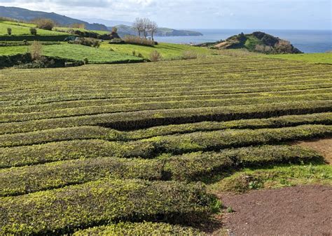 Hiking São Miguel Azores: Top Trails - G Adventures