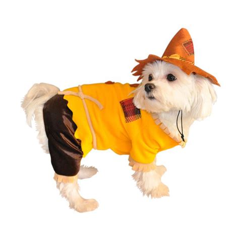 Scarecrow Halloween Dog Costume at BaxterBoo