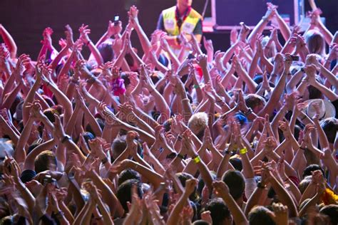 Crowd at rock concert stock photo. Image of public, people - 17930190