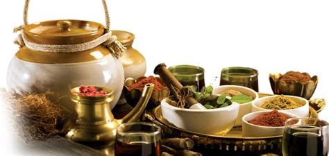 Ayurveda PNG Images Transparent Free Download