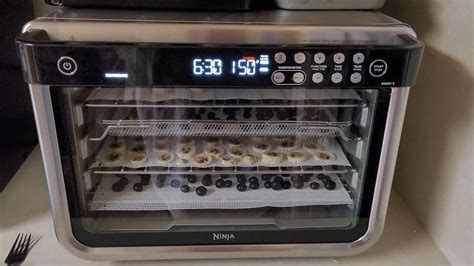 Dehydrating in the Ninja Foodi 10 in 1 Air Fry Oven without the ...