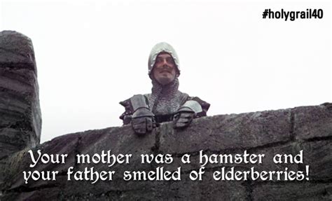 Medieval Meme - "Elderberries..." - Pythonland