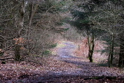 Plean Country Park, Plean (Walkhighlands)