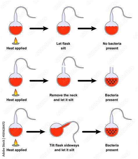 Louis Pasteur Experiment