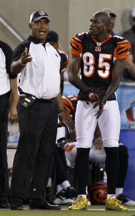 Marvin Lewis: Bill Belichick Too Smart To Pursue Ochocinco | HuffPost Sports