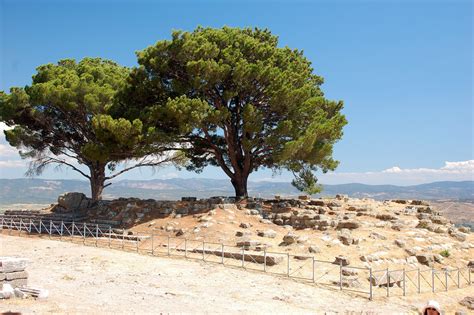 The Altar of Zeus in Pergamon : History, Pictures and Useful Information