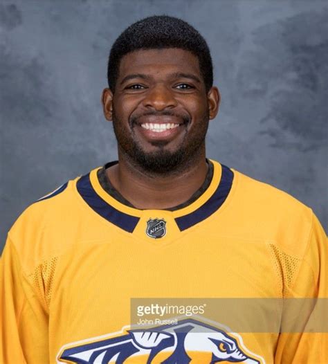 PK Subban Nashville Predators, Polo Shirt, T Shirt, Nascar, Polo Ralph ...