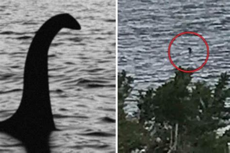 Loch Ness Monster FOUND? Tourist captures object lurking in Highlands - Daily Star