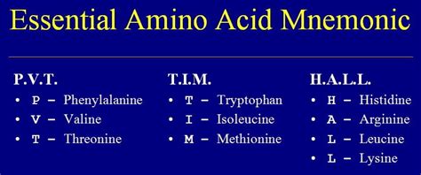 Essential Amino Acids (Mnemonic) - PVT TIM HALL (P.V.T. T.I.M. H.A.L.L.) | Medicalchemy Mnemonics