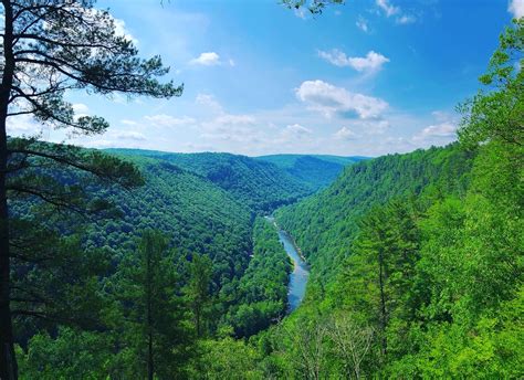 Wilds Child: Camping at the Pennsylvania Grand Canyon - Pennsylvania Wilds