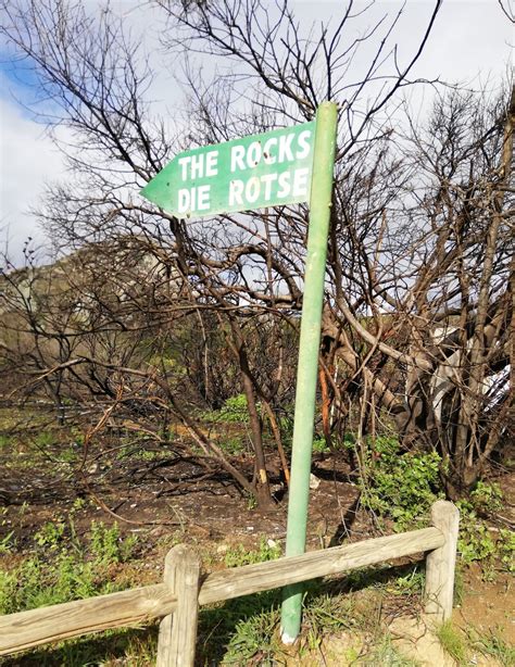 Enjoying the Paarl Rock Hike in Paarl Mountain Nature Reserve