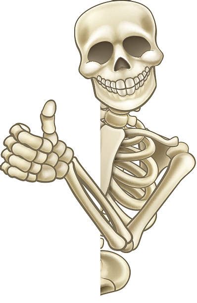 Royalty Free Human Skeleton Clip Art, Vector Images & Illustrations - iStock