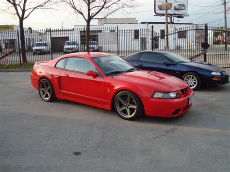 2004 Ford Mustang SVT Cobra - $29000 - Canadian Mustang Owners Club - Ford Mustang Forums