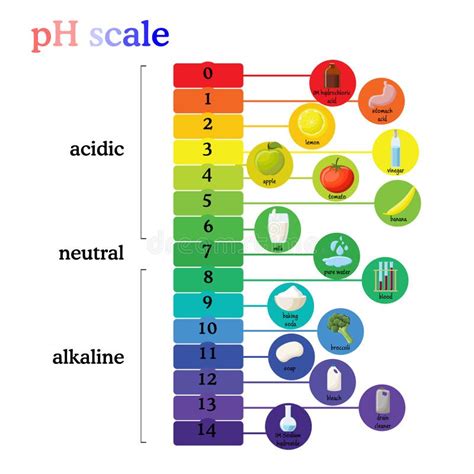 PH Scale Diagram with Corresponding Acidic or Alkaline Values for ...