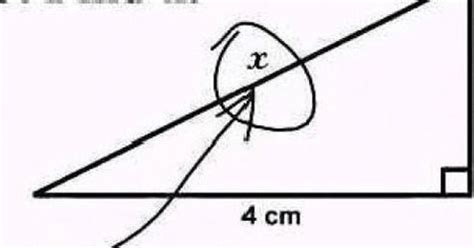 39 Ultimate Funny Exam Answer Fails | HuffPost UK Students