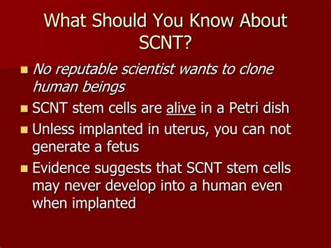 PPT - Stem Cells PowerPoint Presentation, free download - ID:3036475