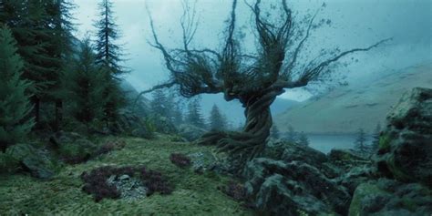 Harry Potter: The 15 Most Useful Plants In The Wizarding World