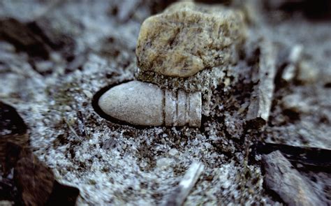 Frederick, Maryland Duo Unearths Civil War Artifacts In The Area | HuffPost