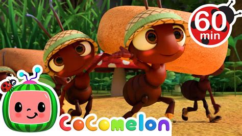 Cocomelon Ants Go Marching