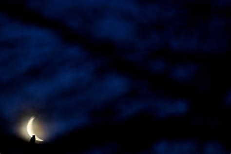 Great Horned Owl Silhouette with the Moon — Ray Hennessy Wildlife