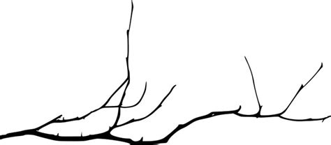 15 Simple Tree Branch Silhouettes (PNG Transparent) | OnlyGFX.com | Simple tree, Branch drawing ...