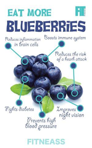 The Surprising Health Benefits Of Berries Infographic - Fitneass