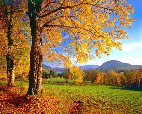 Vermont Wallpapers - Wallpaper Cave