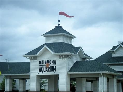 Oklahoma Aquarium (Jenks) - 2018 All You Need to Know Before You Go (with Photos) - TripAdvisor