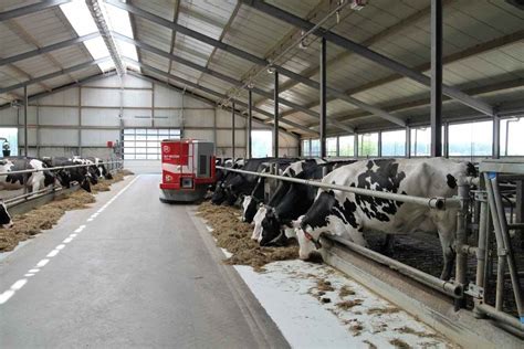 Dairy Farming in the USA - Management Practices | Agri Farming