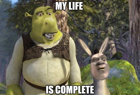 150+ Funny Shrek Memes For True Ogres (And Donkeys) – FandomSpot