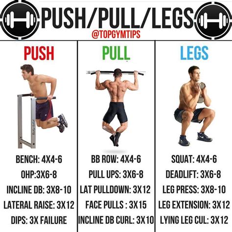 Push Pull Legs Powerlifting Program | royalcdnmedicalsvc.ca