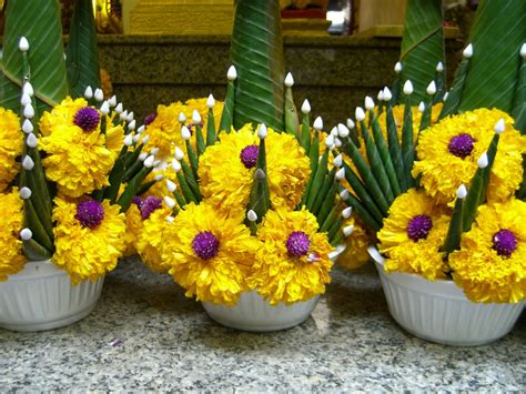 Free Images : buddhism, yellow, flora, thailand, art, floristry, floral arrangement, flowering ...