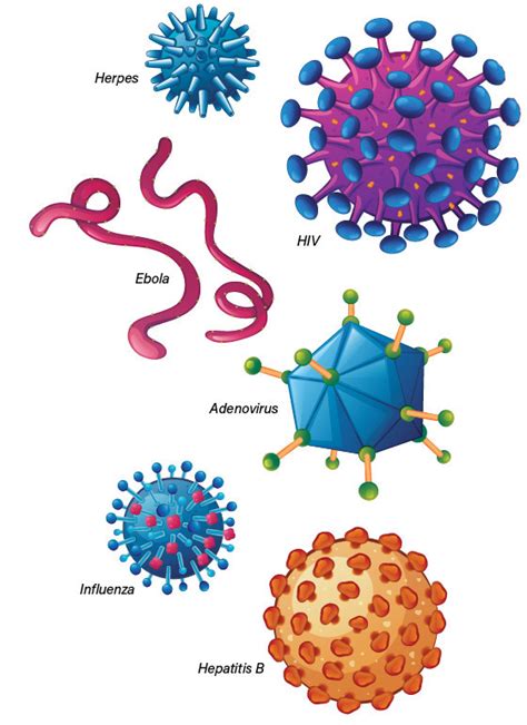 The 12 deadliest viruses on Earth - NewsDay Kenya