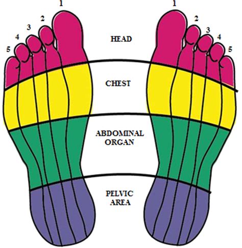 Reflexology and its History - Massage Works Therapy Center Blog