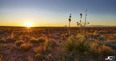 Agave Desert Sunset New Mexico Fine Art Photography — Jason Collin ...