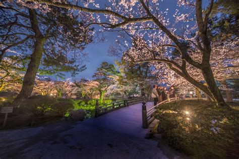 5 Recommended Spots to See Beautiful Cherry Blossoms in Kanazawa | Articles by K's House Hostels