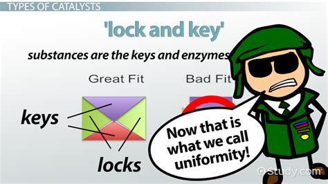 Catalysts: Definition, Types & Examples - Video & Lesson Transcript | Study.com