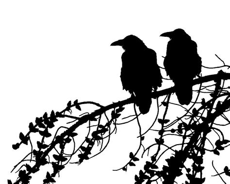 Ravens Silhouette 8x10 Black and White Monochromatic Birds