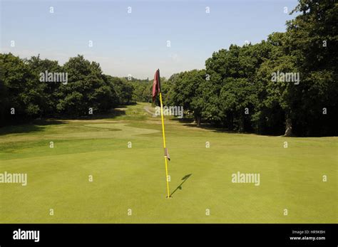 Leatherhead golf club hi-res stock photography and images - Alamy