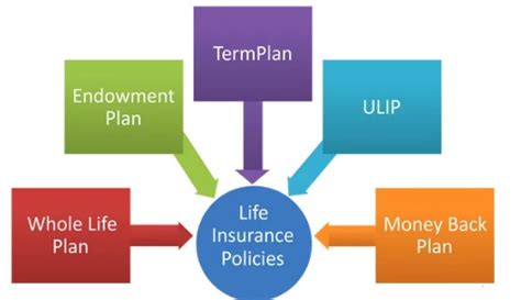 Different Types Of Life Insurance Policies in India | CoverNest Blog