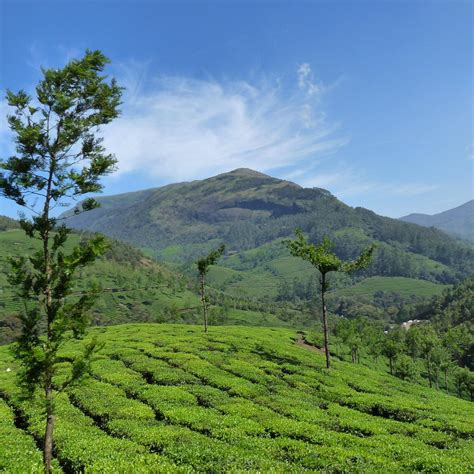 ANAMUDI PEAK (Munnar) - All You Need to Know BEFORE You Go