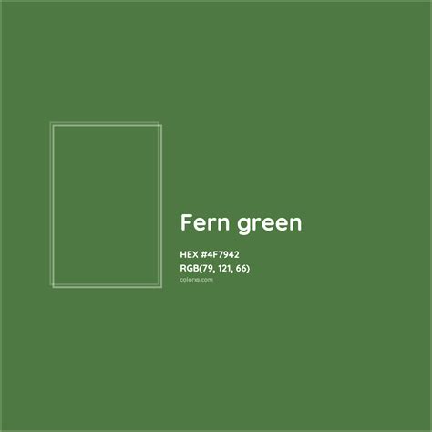 About Fern green - Color codes, similar colors and paints - colorxs.com