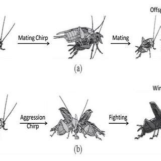 (PDF) Impact of Parameter Tuning on the Cricket Chirping Algorithm