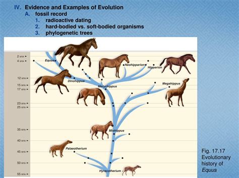 PPT - Evolution: Natural Selection & Adaptation PowerPoint Presentation - ID:4091740