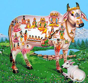 Gomata गौमाता : References and Details