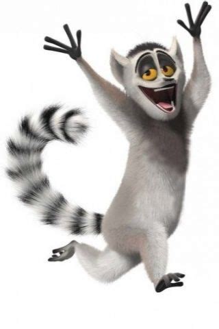 King Lemur of Madagascar | Festa madagascar, Madagascar desenho, Animação