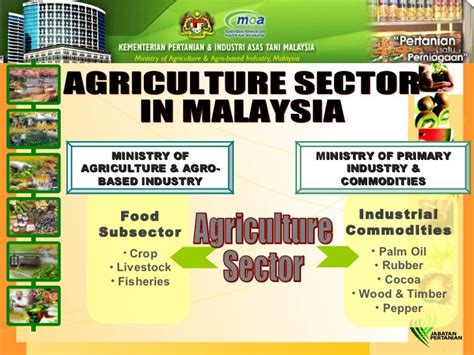 Overview Of Agriculture Sector In Malaysia