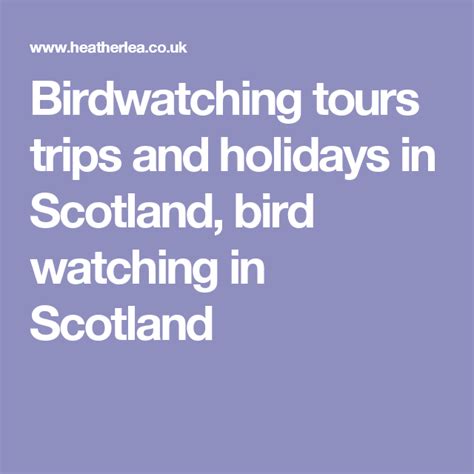 Birdwatching tours trips and holidays in Scotland, bird watching in Scotland | Scotland holidays ...